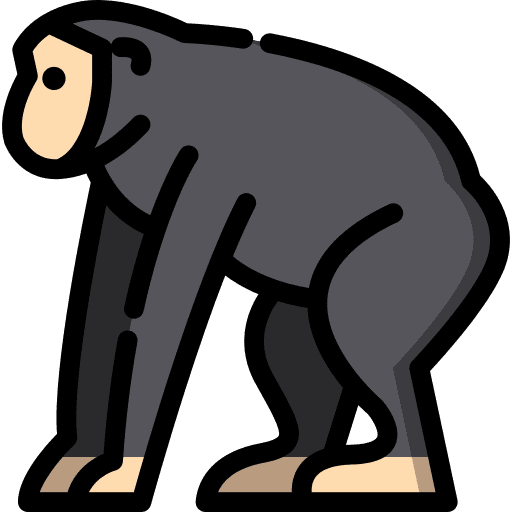 Chimpanzee wild wildlife zoo icon