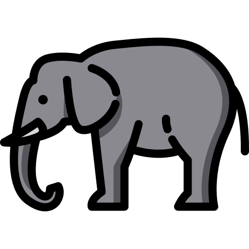 Elephant elephant animals zoo icon