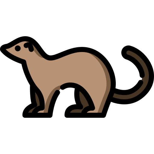 Ferret animals mammals animal icon