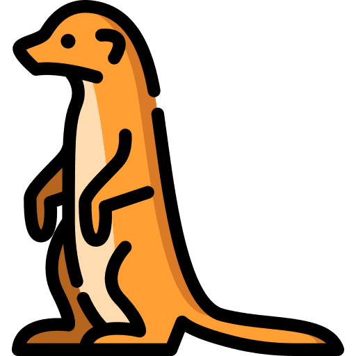 Meerkat meerkat wild life mammal icon