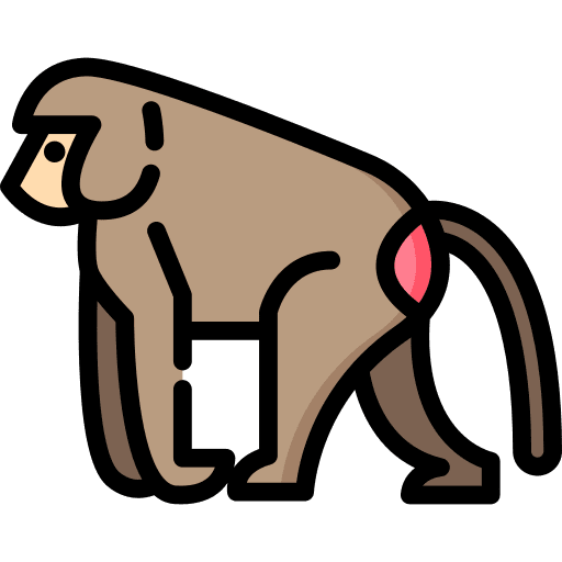 Baboon animals wild zoo icon