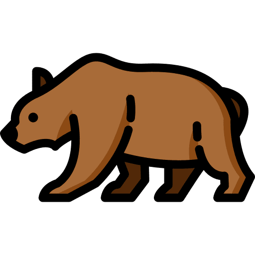 Bear zoo animal kingdom wild life icon