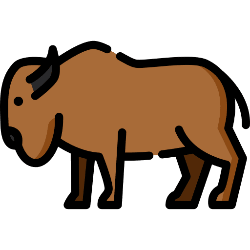 Bison animal kingdom animals wild life icon