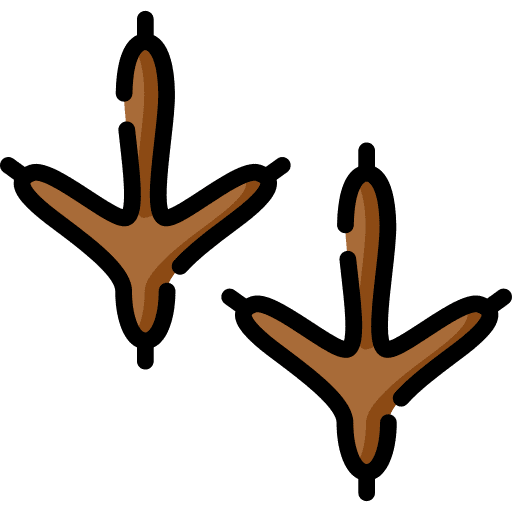 Footprint birds animals print icon