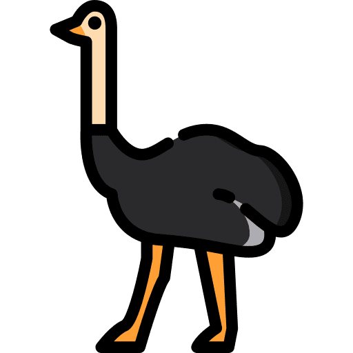 Ostrich animal kingdom animals animal icon
