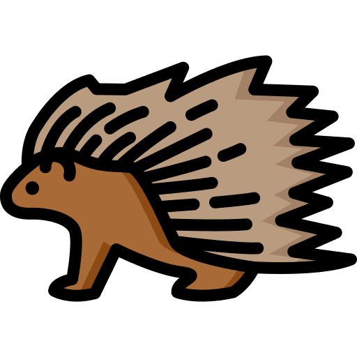 Porcupine animals zoo animal icon