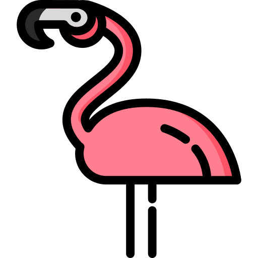 Flamingos animals animal kingdom wildlife icon