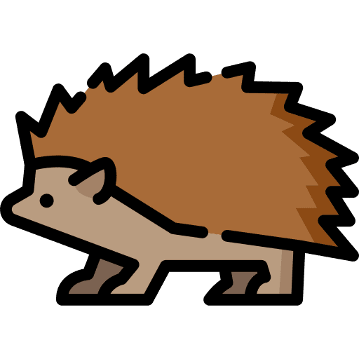 Hedgehog animals zoo wildlife icon