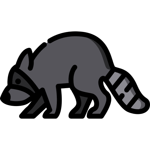 Raccoon wildlife zoo animals icon