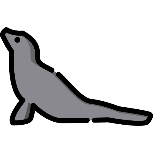 Sea lion shape animals sea life icon