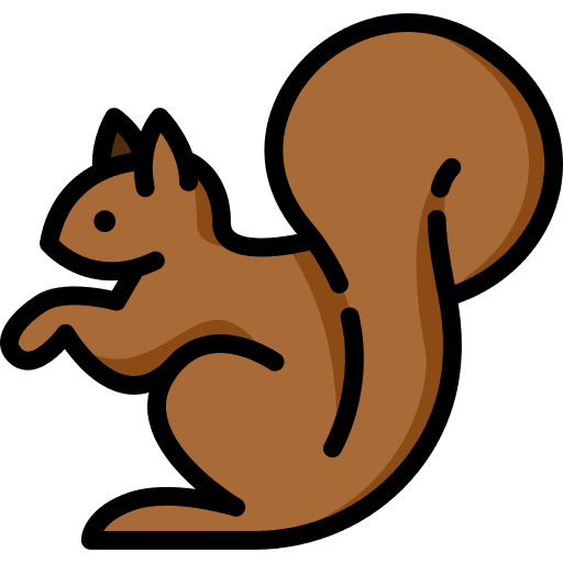 Squirrel squirrel zoo animal icon