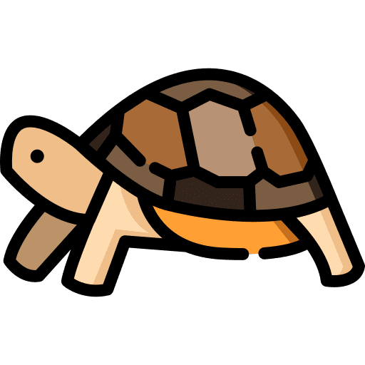 Turtle animals aquarium turtle icon