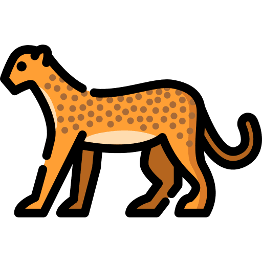 Cheetah wild life animals cheetah icon