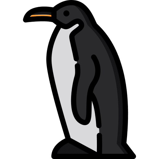 Penguin wild life animal kingdom penguin icon
