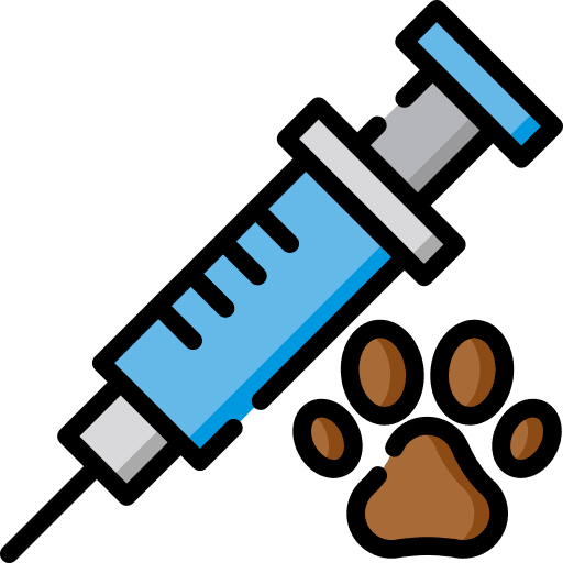 Syringe medical syringe medicine icon