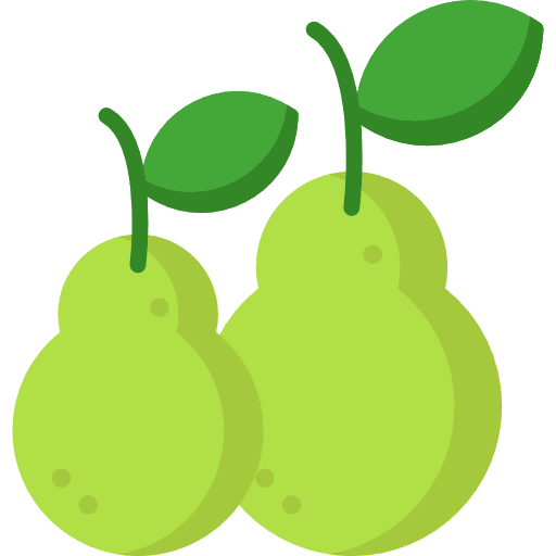 Pear pear food food and restaurant icon