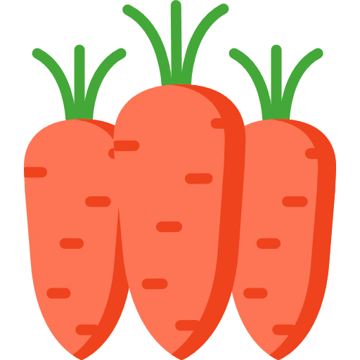 Carrots healthy food organic food and restaurant icon