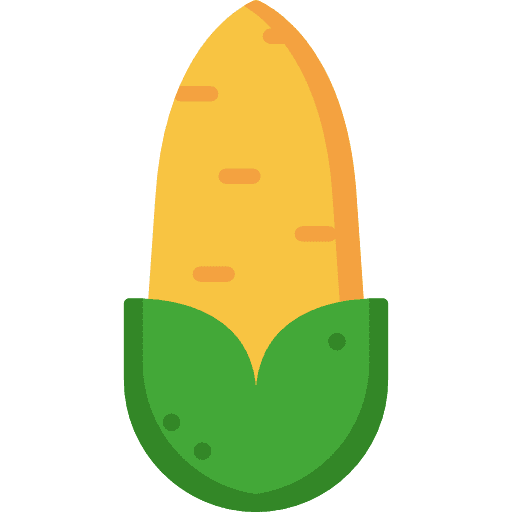 Corn healthy food food farming and gardening icon