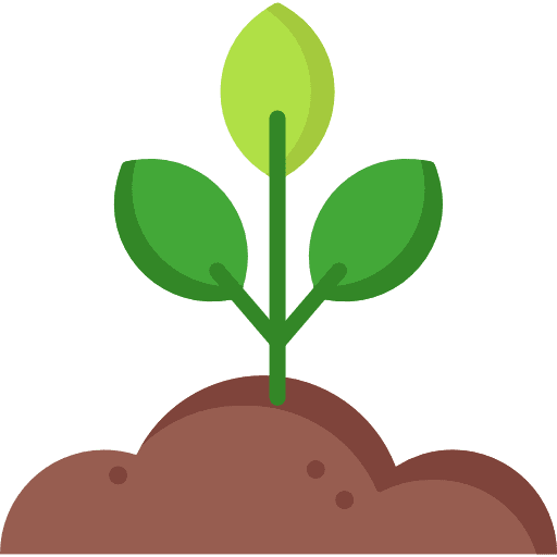 Plant branches symbol leaf icon