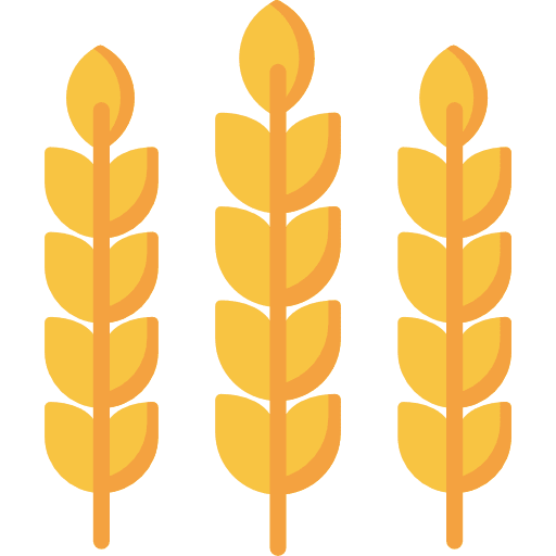 Wheat farming and gardening grains wheat icon