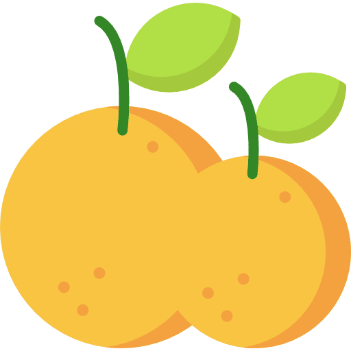 Orange diet food organic icon