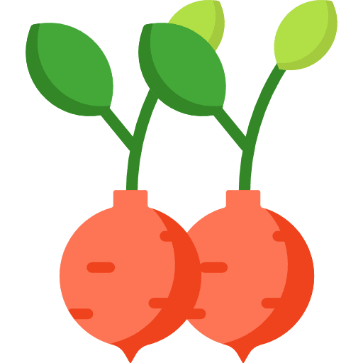 Radish vegetable organic vegetarian icon