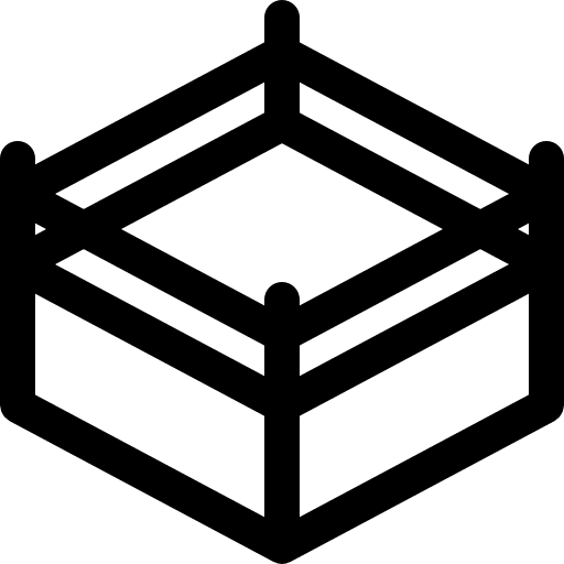 Boxing boxer boxing ring ring icon