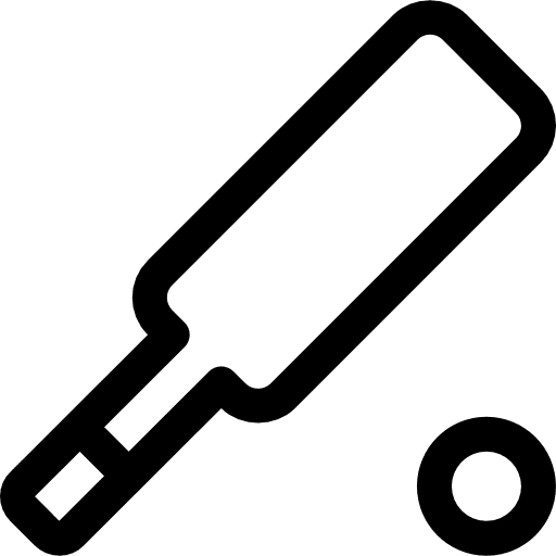 Cricket bat game team sports icon