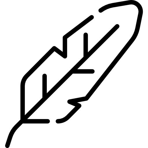 Quill sensitive lightweight education icon