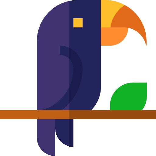 Toucan bird brazil toucan icon