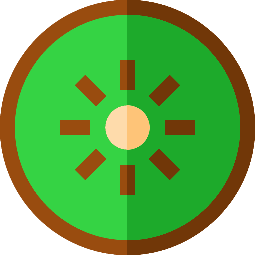 Kiwi fruit organic cooking icon