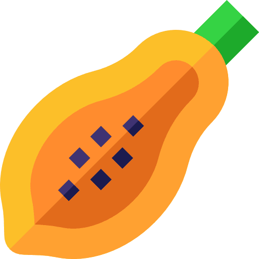 Papaya healthy food vegetarian diet icon