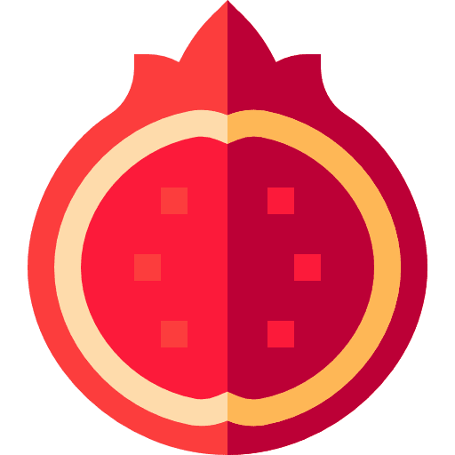 Pomegranate fruit vegan healthy food icon