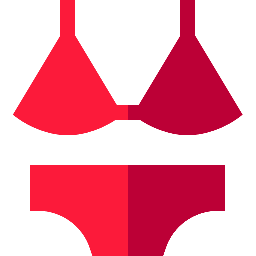 Swimsuit feminine two swimsuit icon