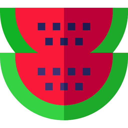 Watermelon food watermelon organic icon