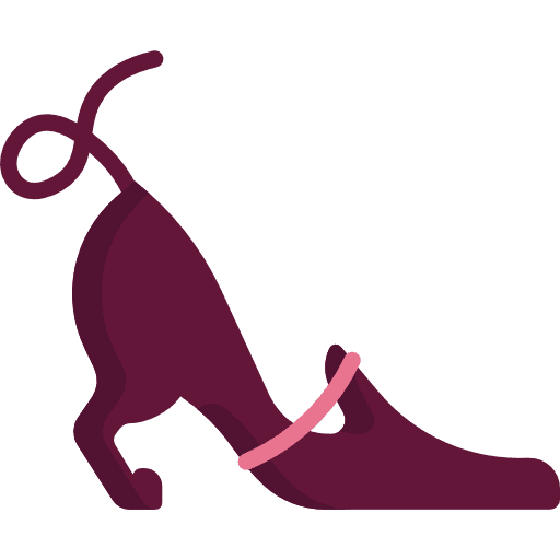 High heel shoe female women icon