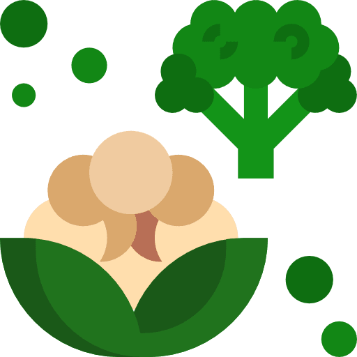 Cauliflower healthy food vegetables cauliflower icon