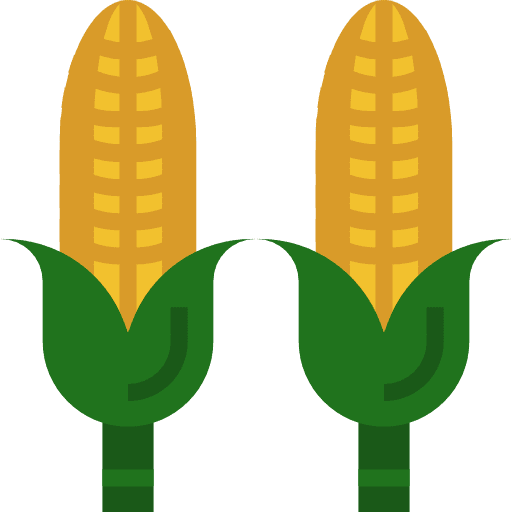 Corn diet food and restaurant organic icon