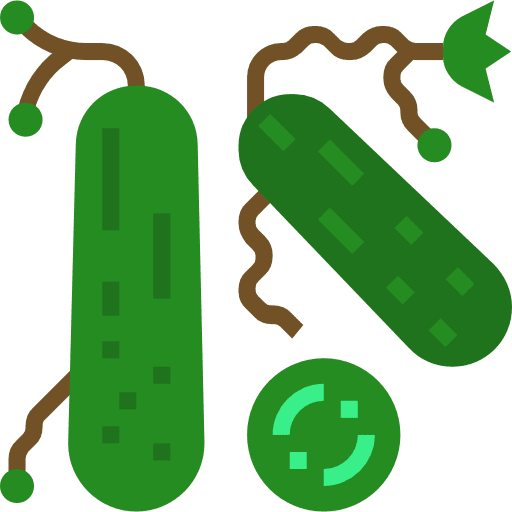 Cucumbers fruit diet vegetables icon
