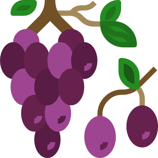 Grapes fruit grapes diet icon