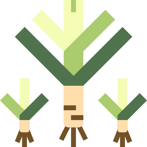 Leek nutrition vegetables diet icon