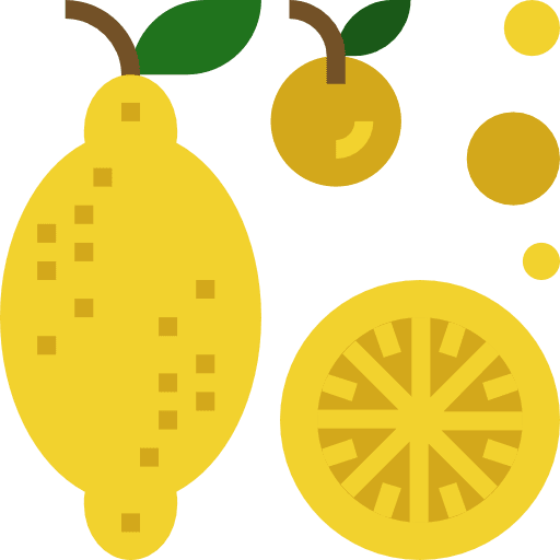 Lemon citrus organic fruit icon
