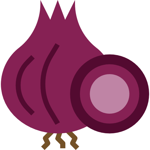 Onion healthy food organic onion icon