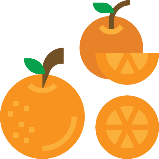 Orange food and restaurant fruit diet icon