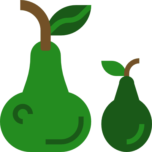 Pear pear healthy food nutrition icon