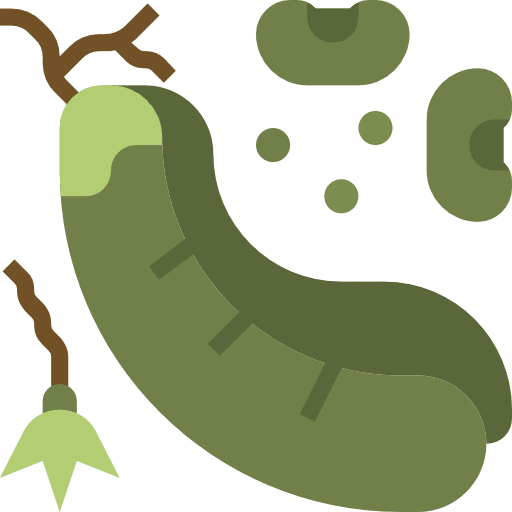 Beans nutrition vegetables organic icon