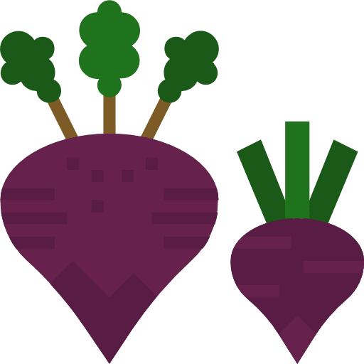 Beet organic beet healthy food icon