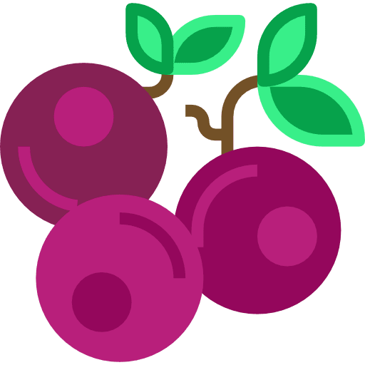 Blueberries vegetables organic diet icon
