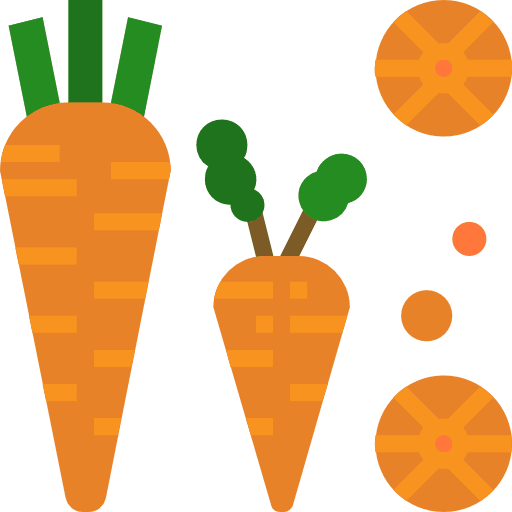 Carrot healthy food organic vegetables icon