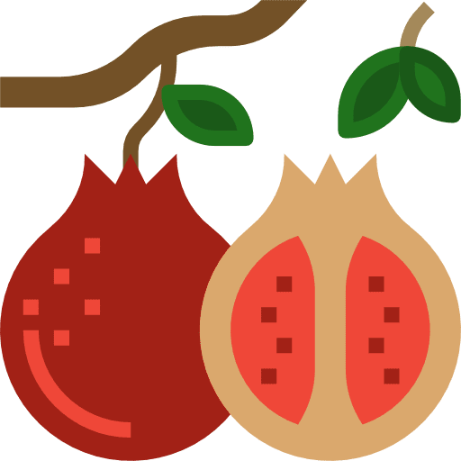 Pomegranate healthy food pomegranate organic icon